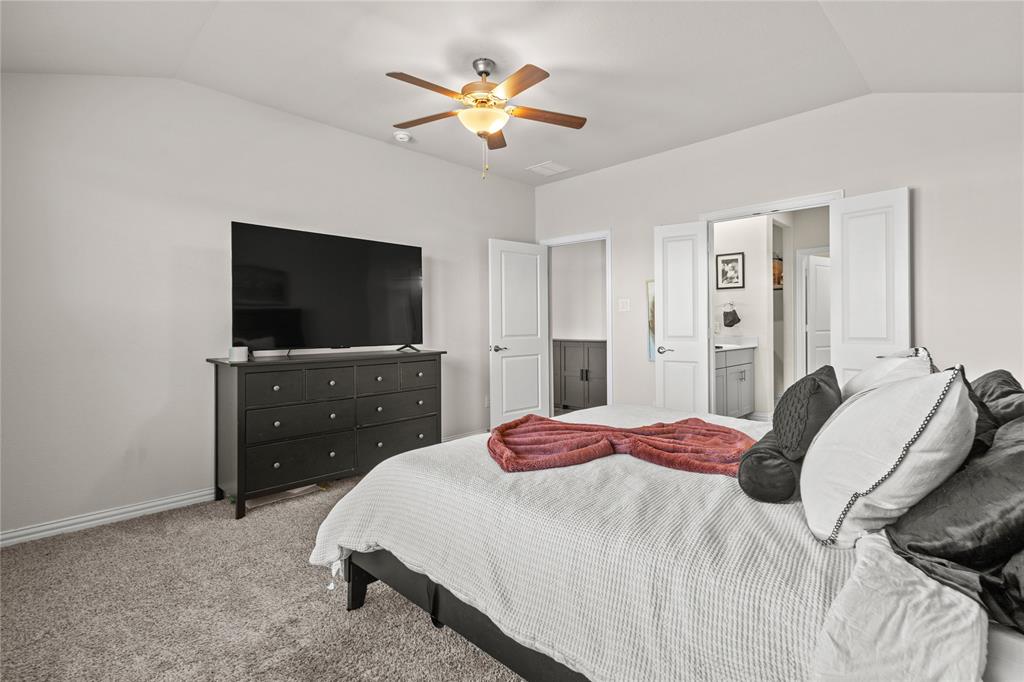 Palmilla Springs - Residential