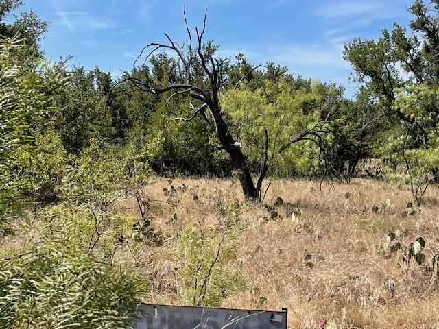 George Baughs Lake Brownwood - Land