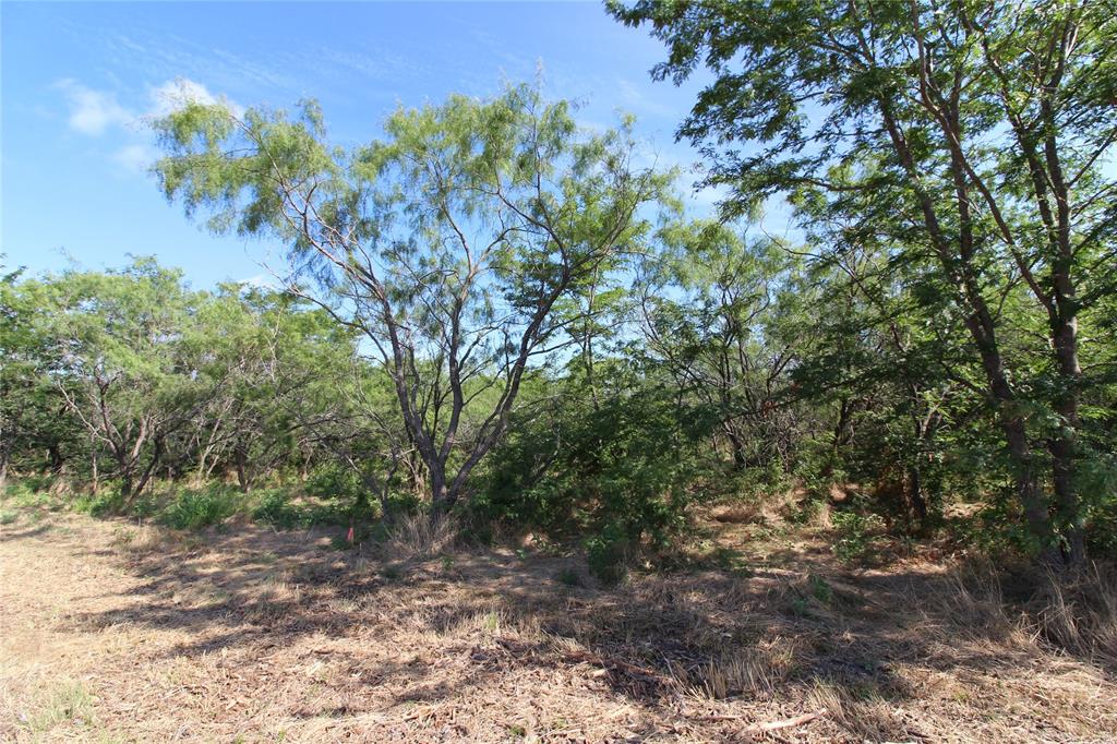 DAVID F WILLIAMS - Land