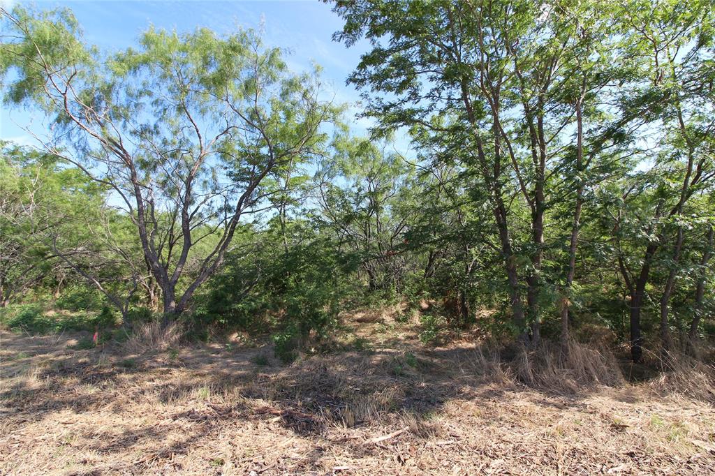 DAVID F WILLIAMS - Land