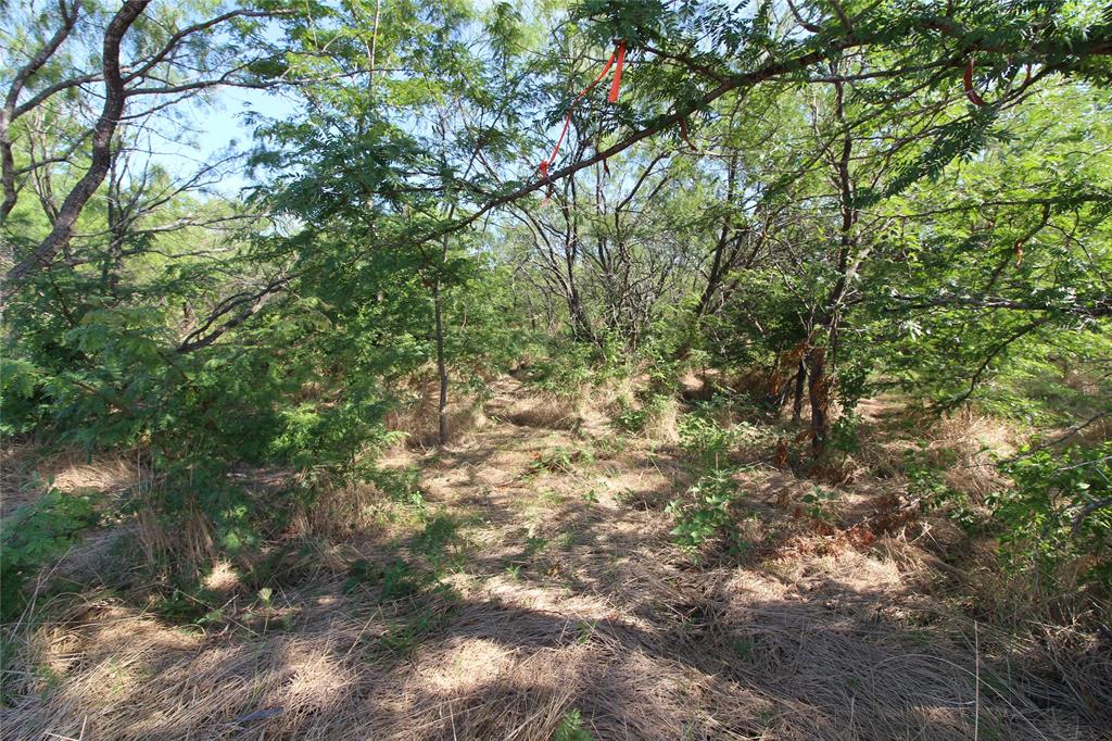 DAVID F WILLIAMS - Land