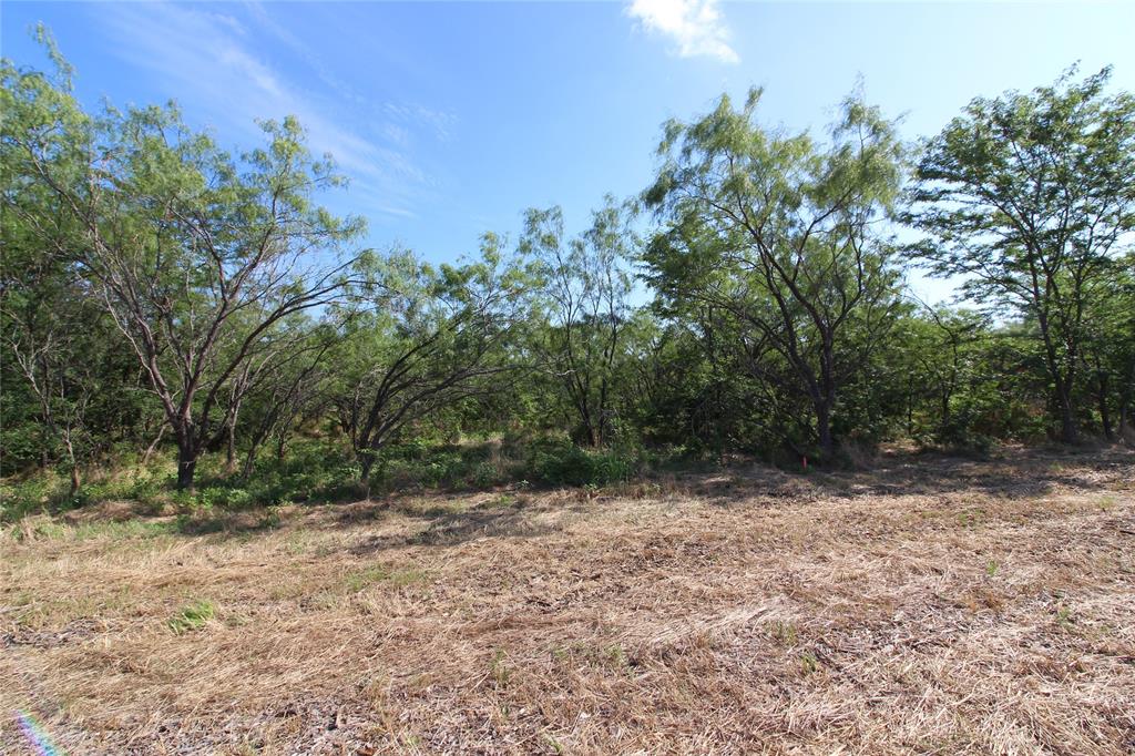 DAVID F WILLIAMS - Land