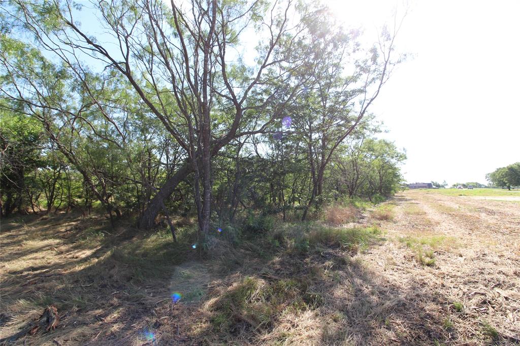 DAVID F WILLIAMS - Land