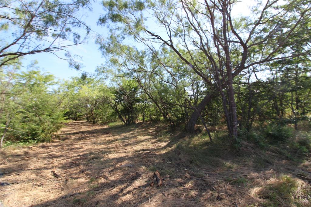 DAVID F WILLIAMS - Land