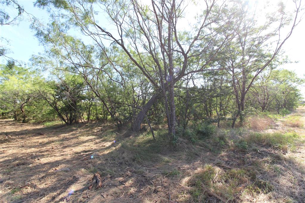 DAVID F WILLIAMS - Land