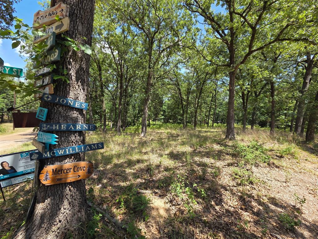 0 Hickory Street Lot 88 - Photo 2