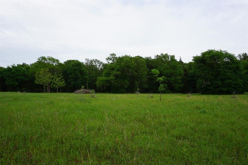 TBD2 County Road 1200