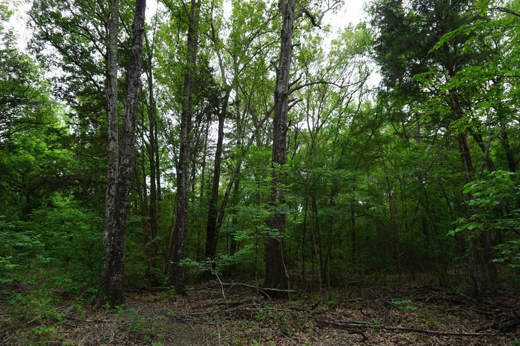 TBD2 County Road 1200