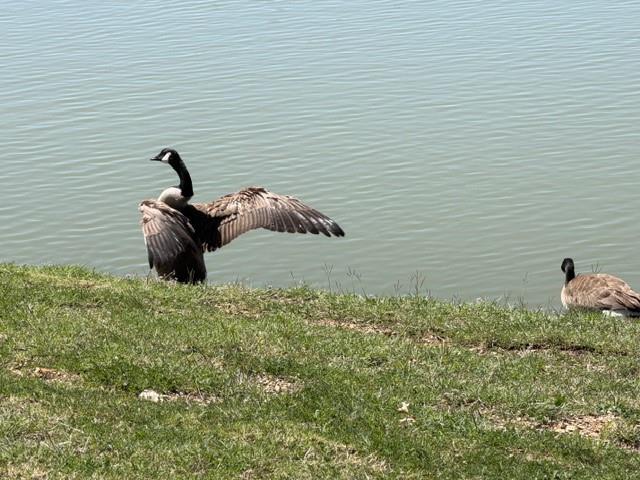 Lakes Of River Trails Add - Residential