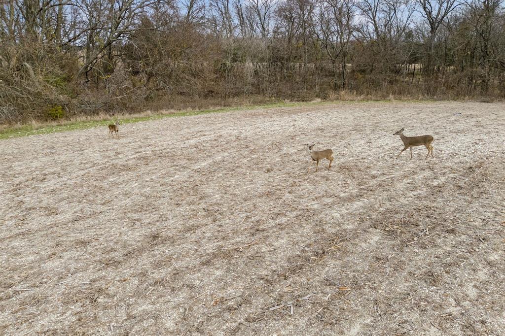 BLUERIDGE R01-R03+ - Farm