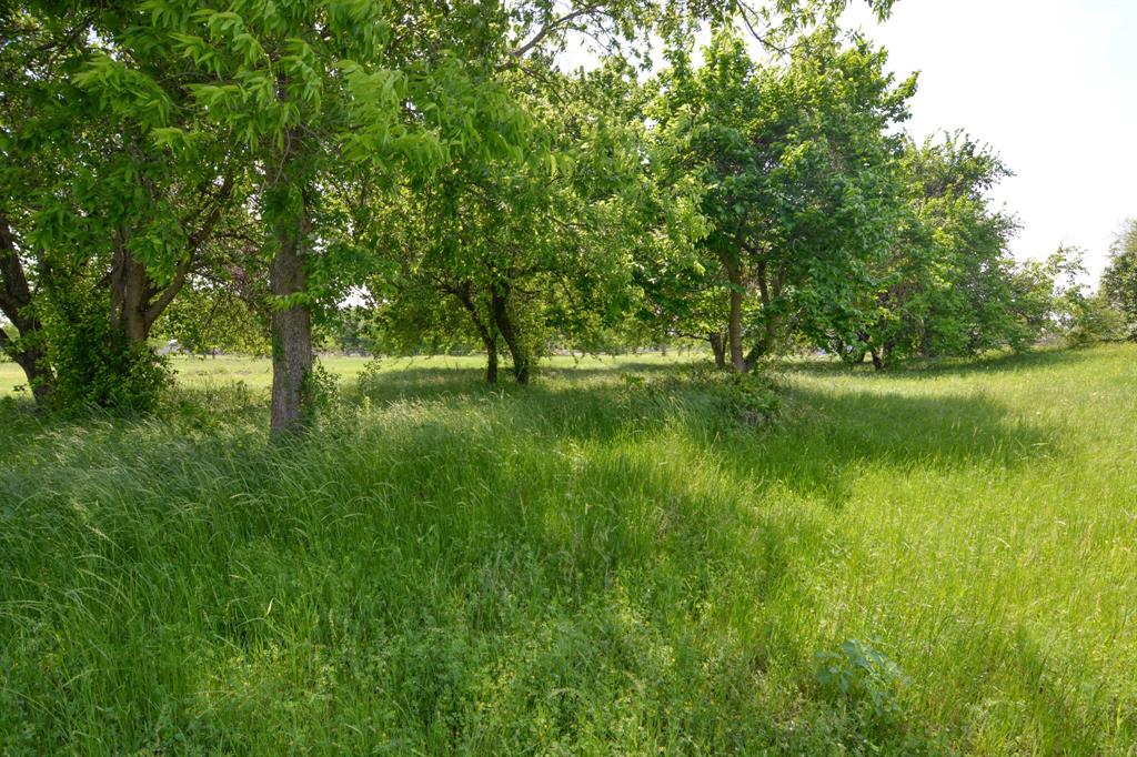 TBD Contrary Creek Road