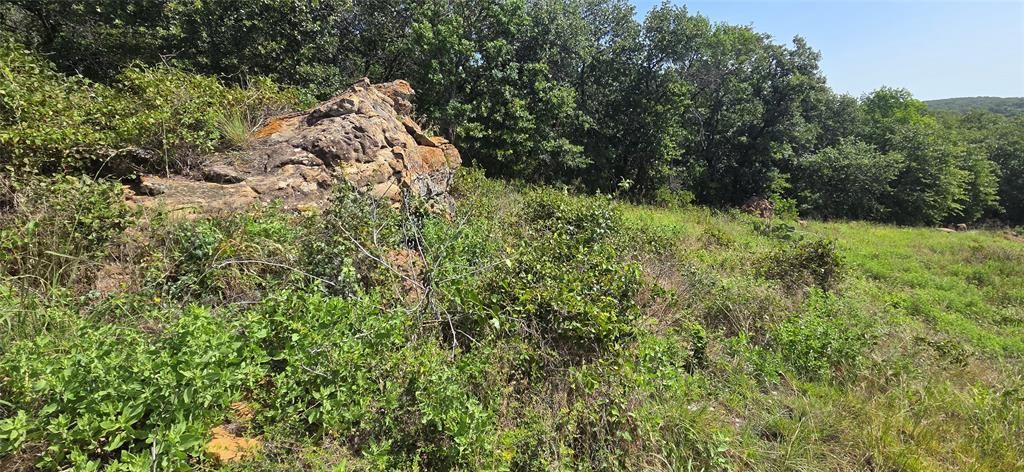 Photo of TBD Nash RD, Jacksboro, TX 76458 (MLS # 21320791)