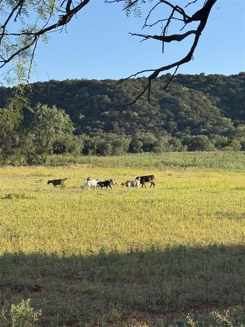 457 County Road 387 Merkel TX 79536