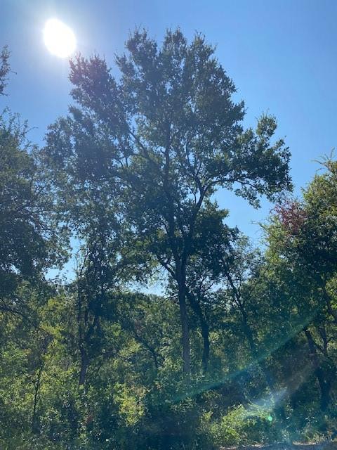 Scenic Village Add - Land