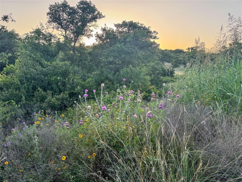 Hidden Shores - Land