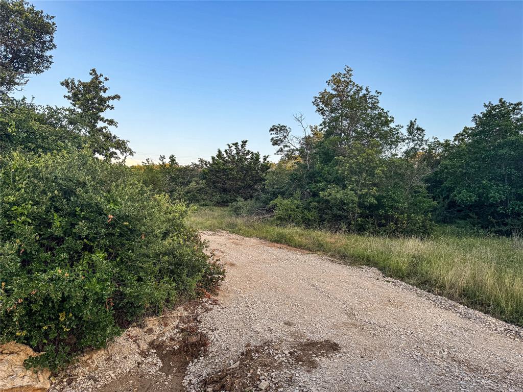 Hidden Shores - Land