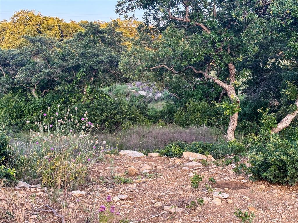 Hidden Shores - Land