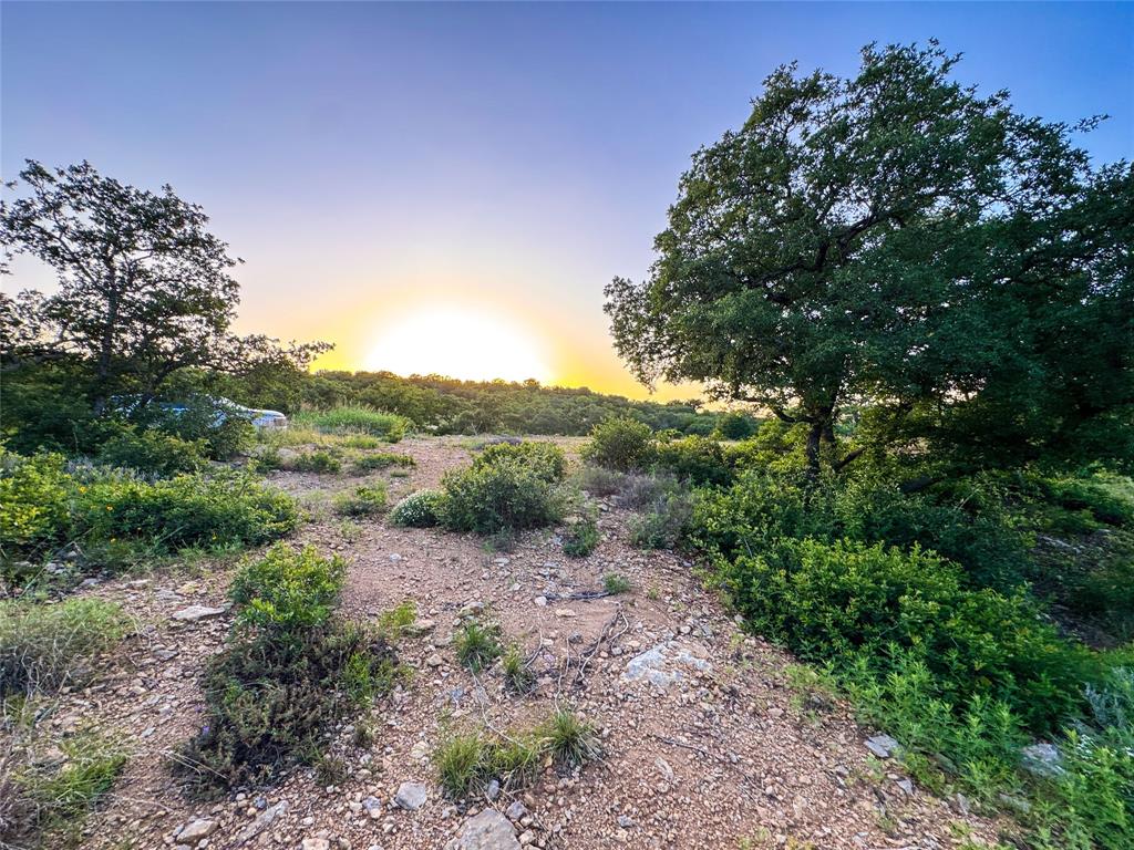 Hidden Shores - Land