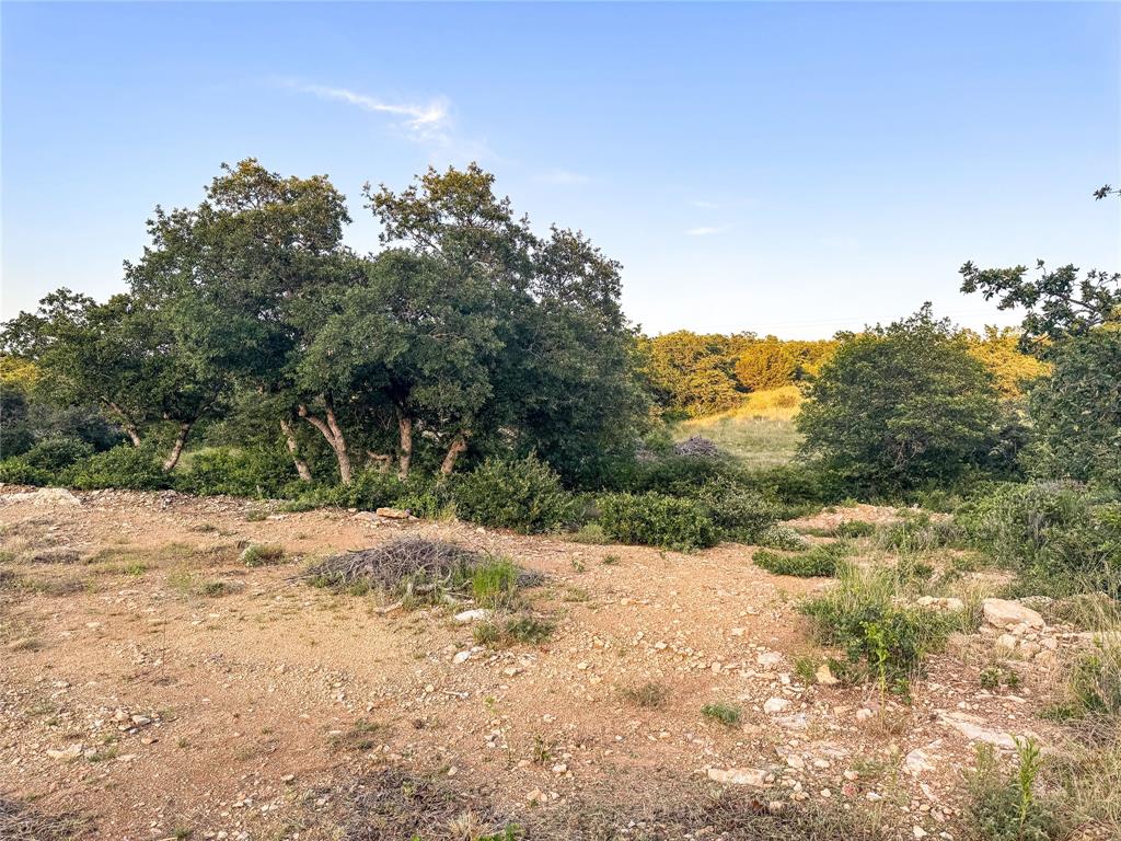 Hidden Shores - Land