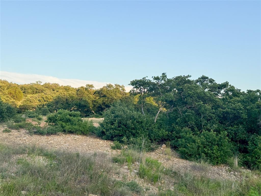 Hidden Shores - Land