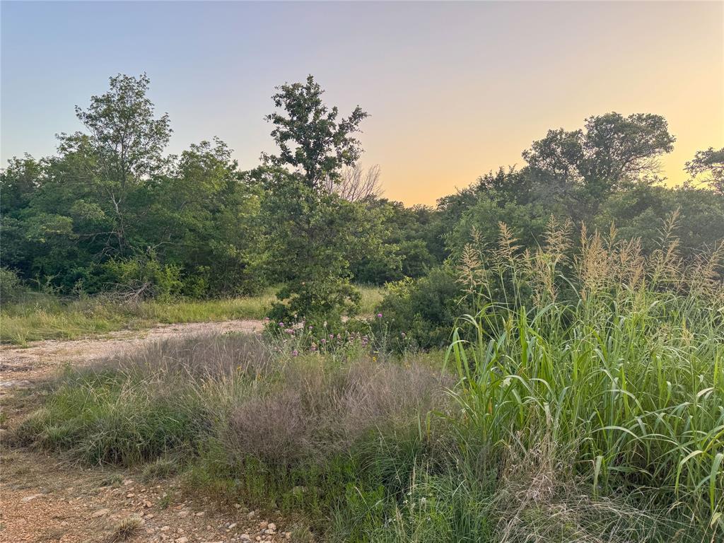 Hidden Shores - Land