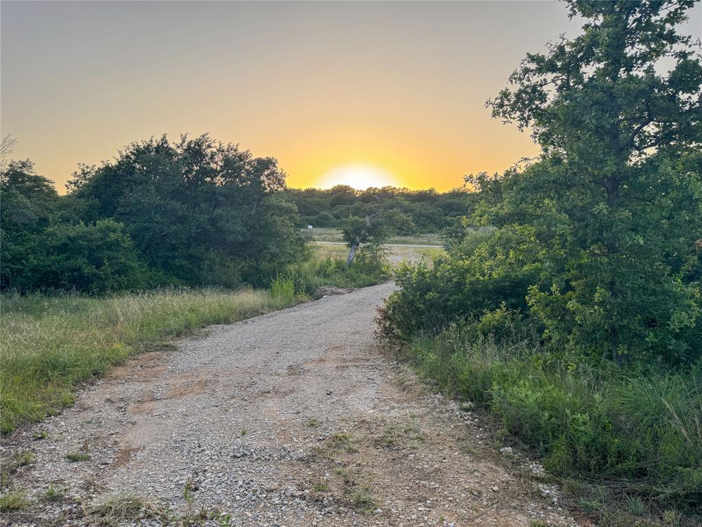 Hidden Shores - Land