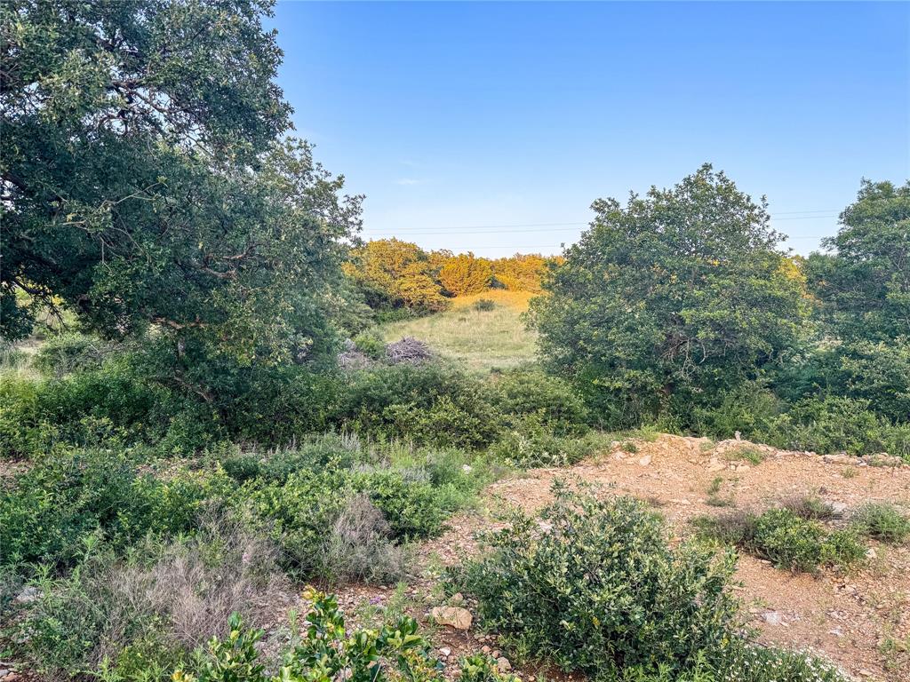 Hidden Shores - Land