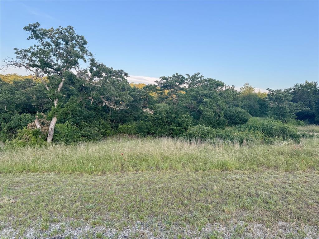 Hidden Shores - Land