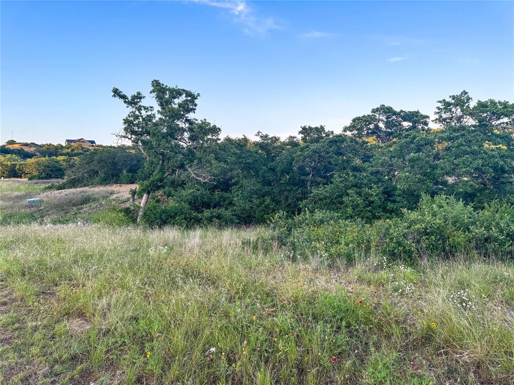 Hidden Shores - Land