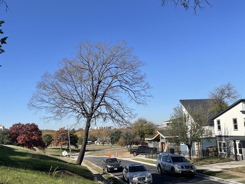 1254 E Magnolia Avenue