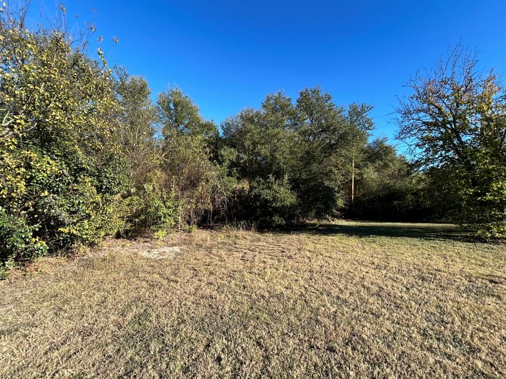 Lake Whitney Estate - Land