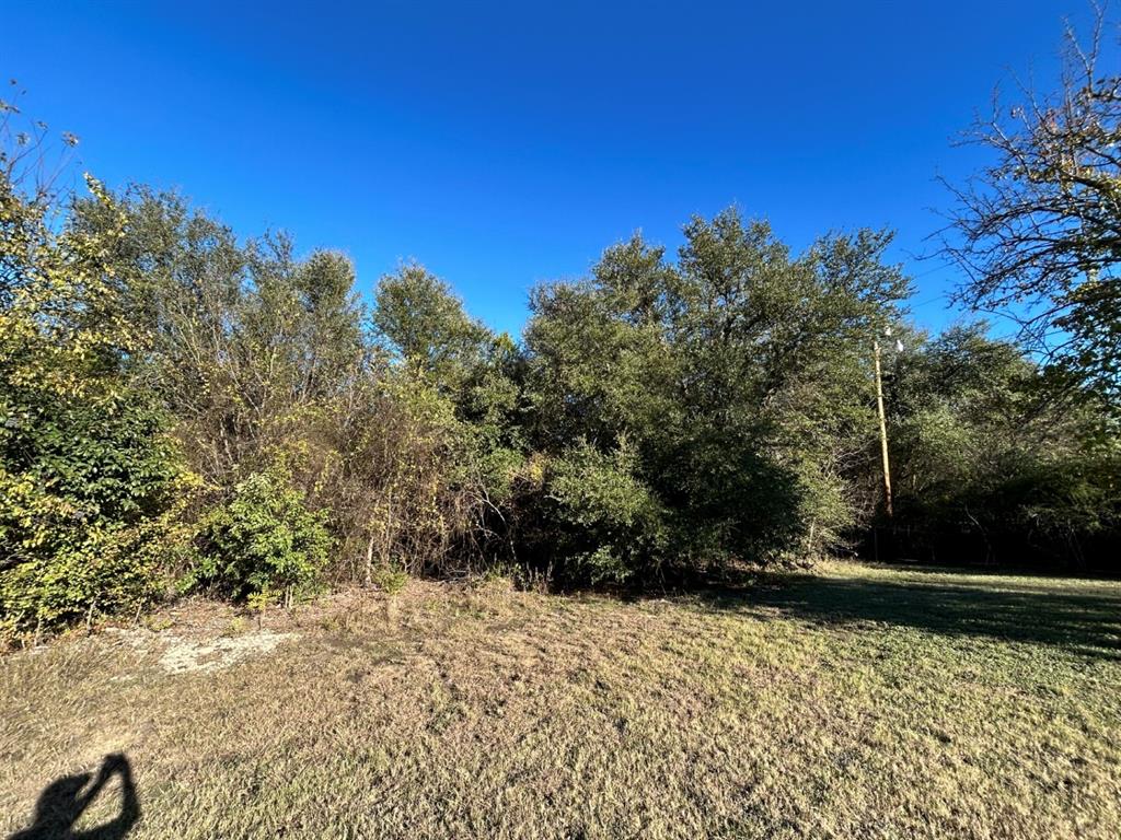 Lake Whitney Estate - Land