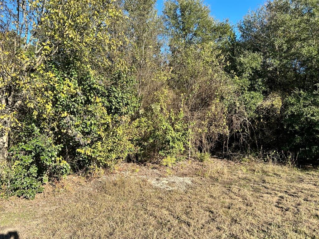 Lake Whitney Estate - Land