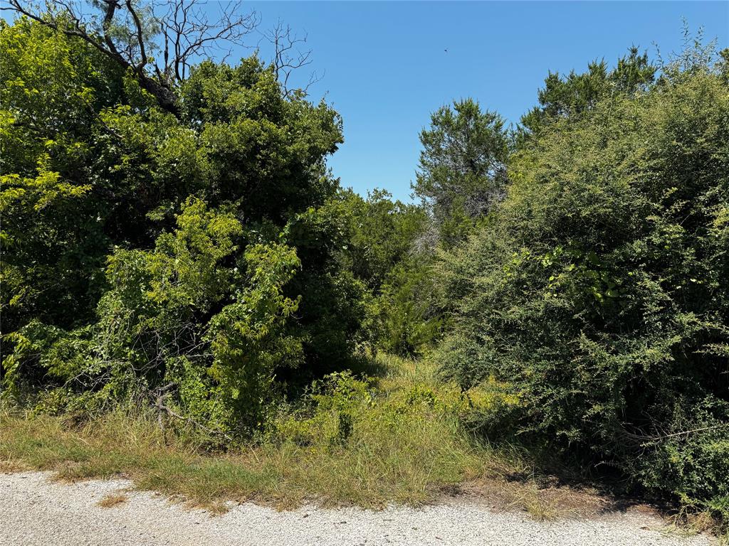 Indian Harbor - Land