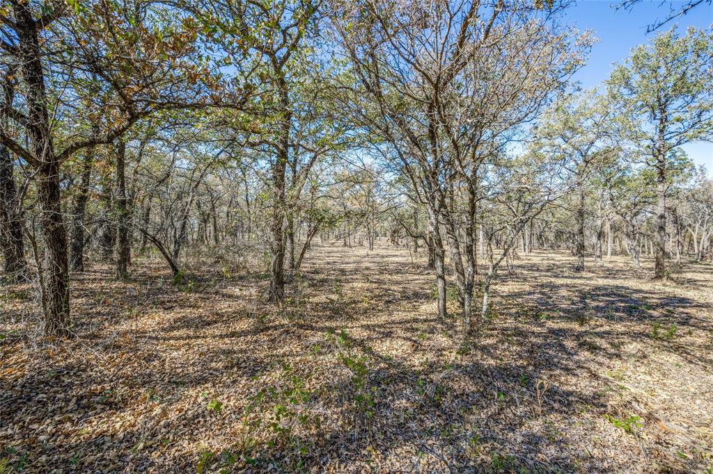 2716 County Road 3672