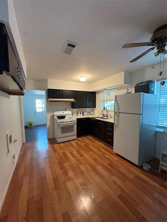 1010 Caladium Drive