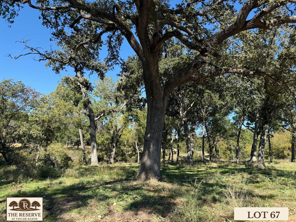 The Reserve at Taylor Ranch - Land