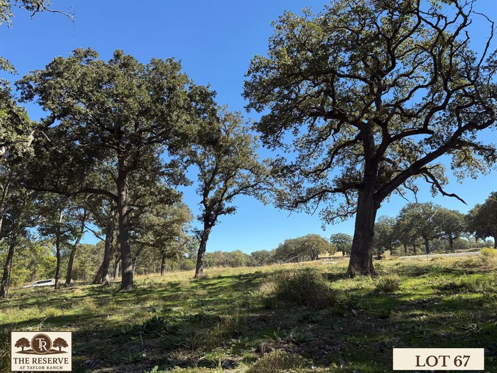 The Reserve at Taylor Ranch - Land