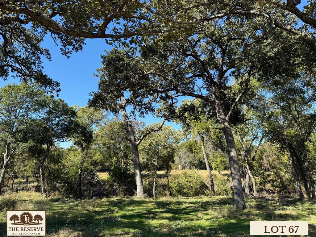 The Reserve at Taylor Ranch - Land
