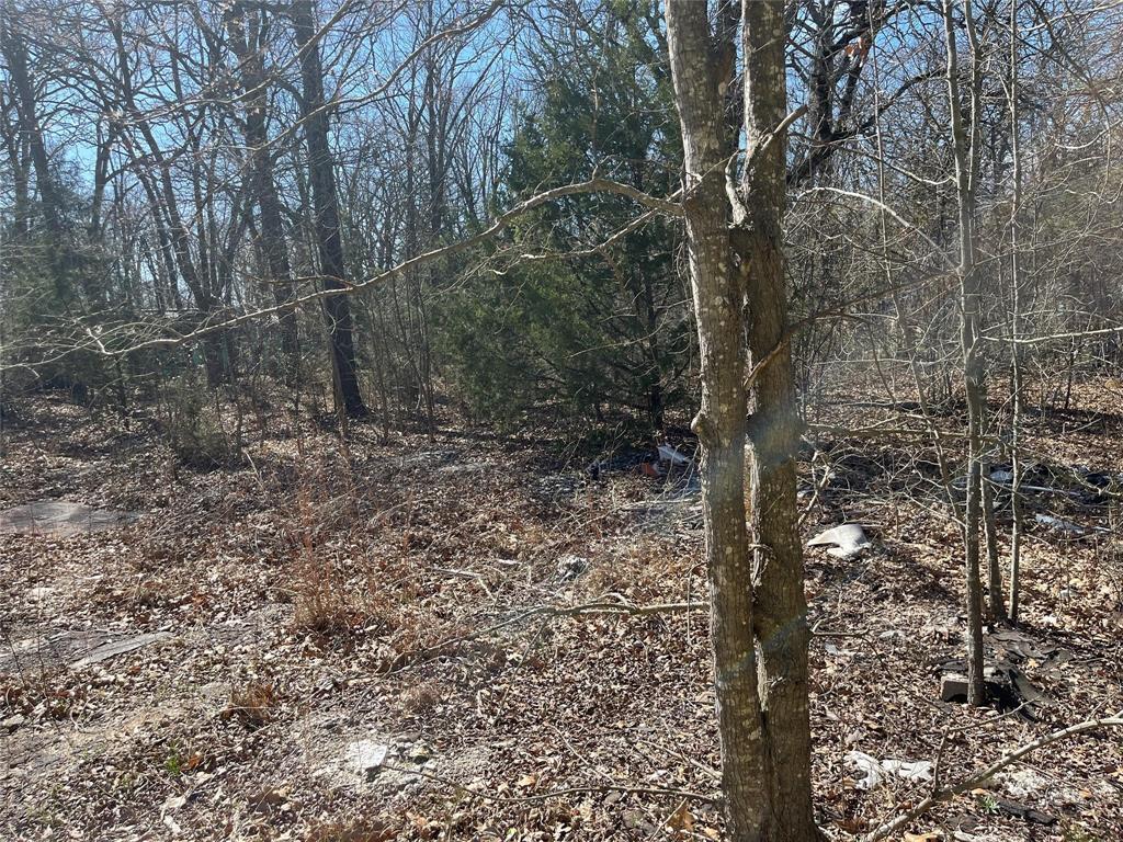 0 County Road 3605