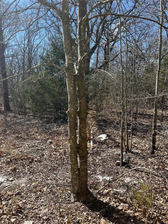 0 County Road 3605