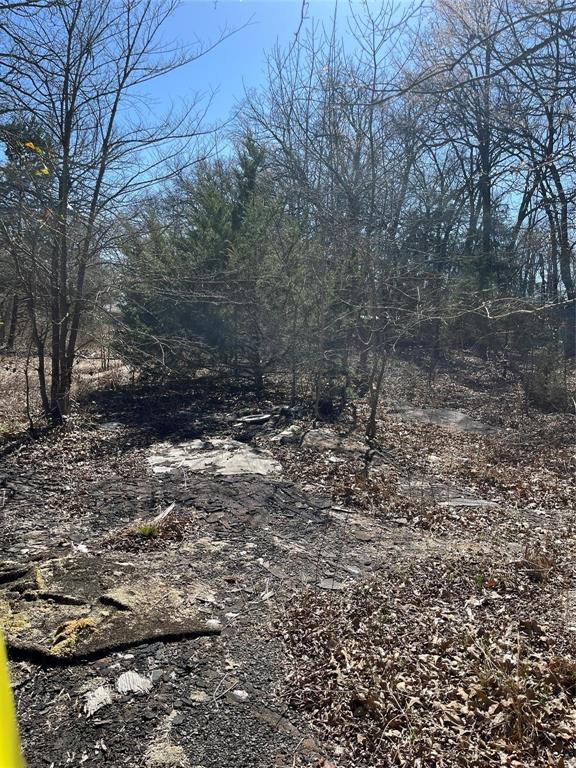 0 County Road 3605