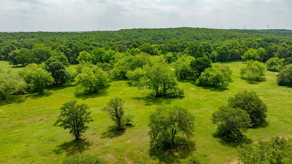 R F Millard Surv A-470 - Residential