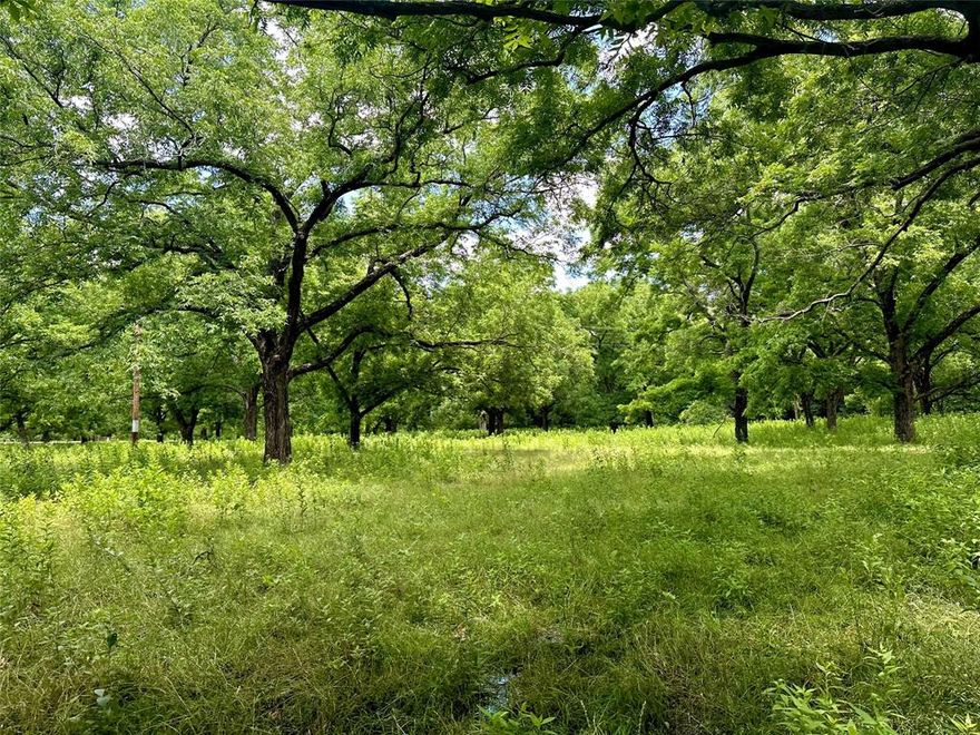 LOCATION, LOCATION, LOCATION!! THE PERFECT approx. 29.25 ACRES FOR YOUR DREAM HOMESTED OR HORSE FARM. COMMON BERMUDA, SCATTERED PECAN TREES, AND WINDING SEASONAL CREEK MAKE THIS PROPERTY NOT ONLY BEAUTIFUL, BUT ALSO IDEAL FOR WHATEVER YOUR VISION MAY BE. PAVED ROAD FRONTAGE ALONG WITH NEAR BY ELECTRIC AND COMMUNITY WATER WILL MAKE THIS AN EASY DECISION. EVERYTHING YOUR LOOKING FOR IS ALL RIGHT HERE.  ALL INFORMATION IS DEEMED REALIABLE BUT WILL NEED TO BE VERIFIED BY BUYER AND BUYERS AGENT.  THERE IS A PORTION OF THIS PROPERTY THAT FALLS IN THE FEMA FLOOD ZONE.