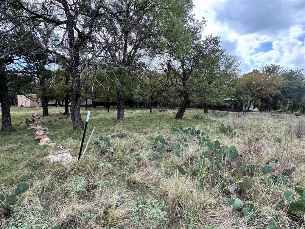 TBD Shoshoni Circle