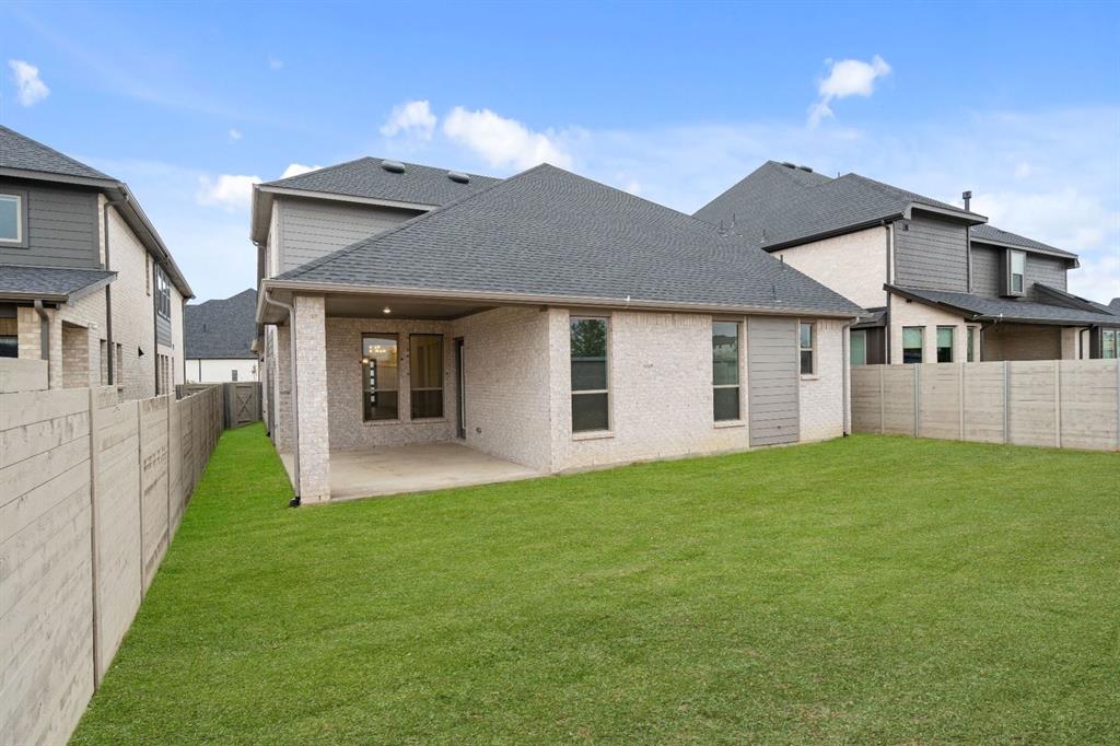 Painted Tree - Residential