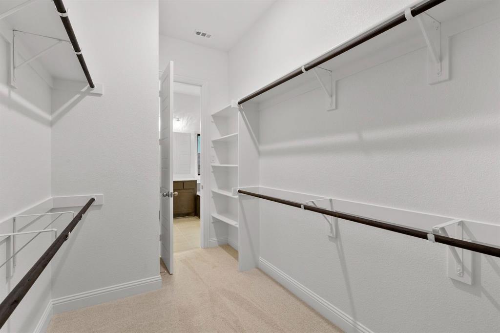 Painted Tree - Residential