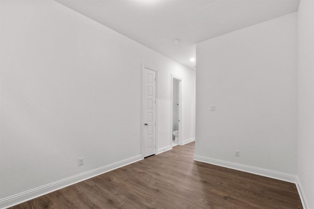 Painted Tree - Residential