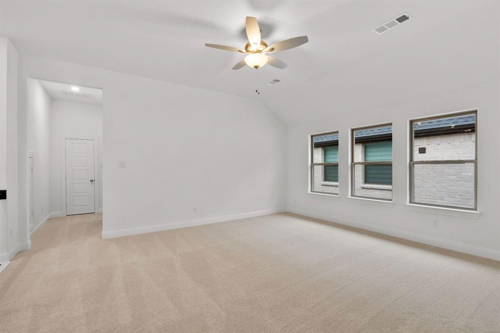 Painted Tree - Residential