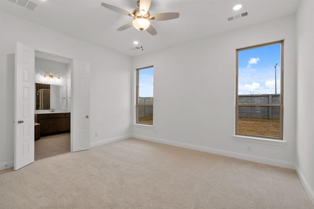 Painted Tree - Residential